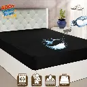 1758443395948.webp